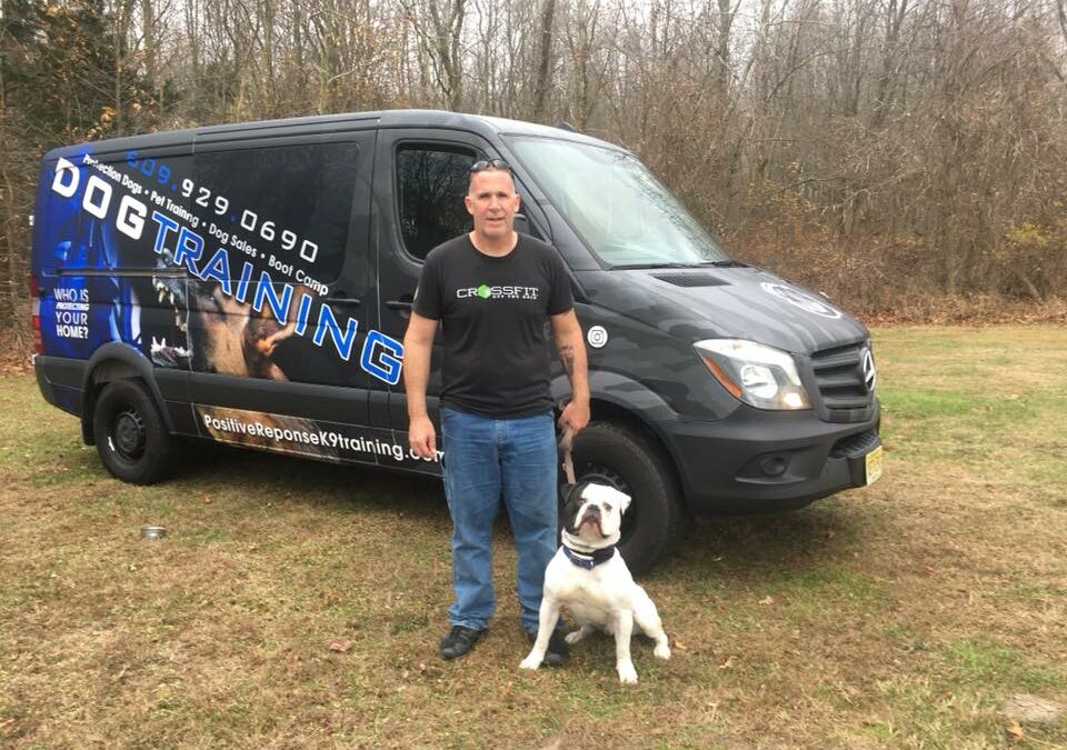 Positive Response Dog Training: Nurturing Harmony in Cherry Hill, New Jersey